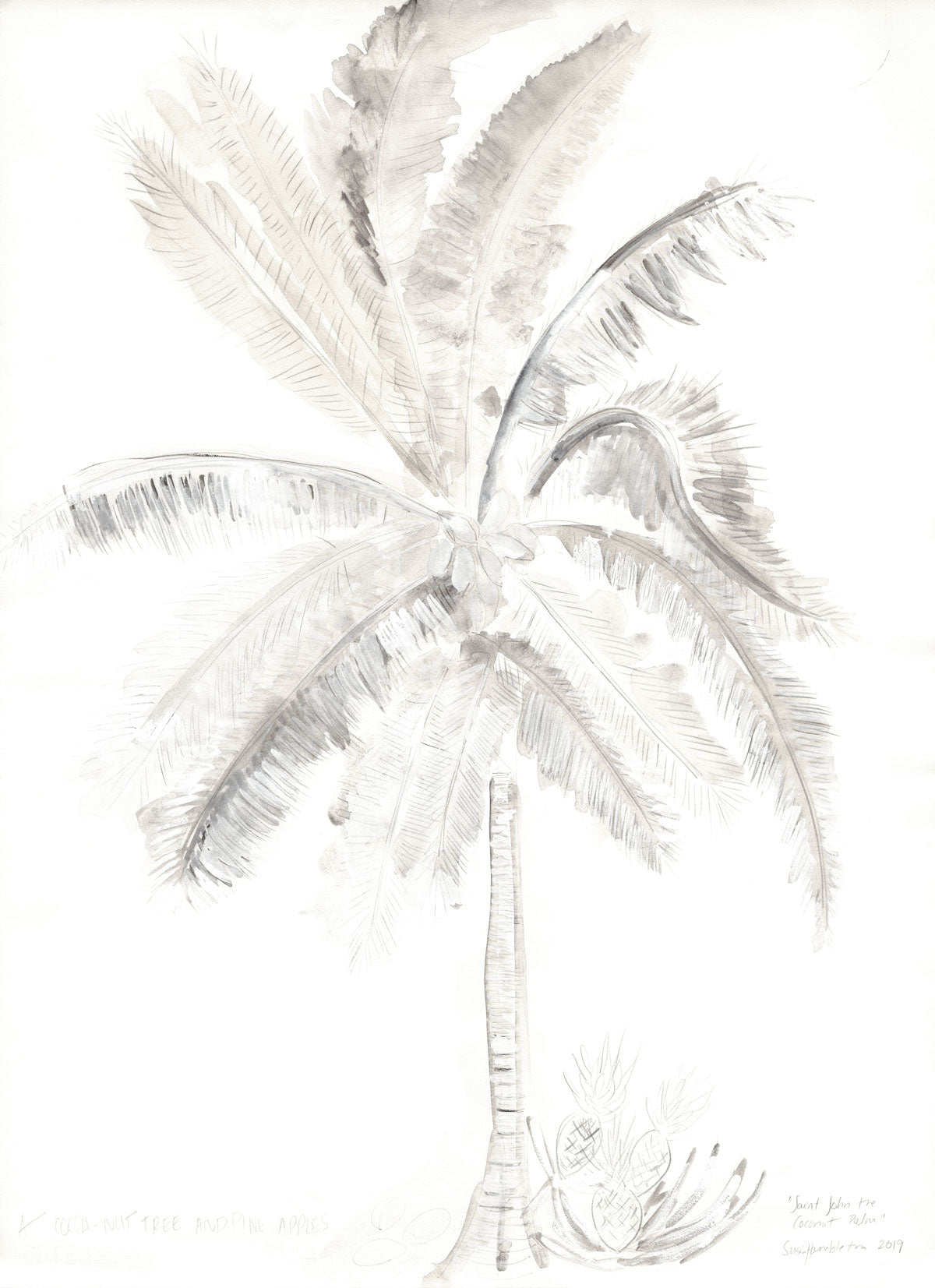 coconut palm art Saint John Coconut Palm – Susie Hambleton